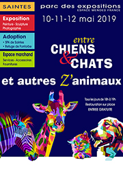 CHIENCHATS2019